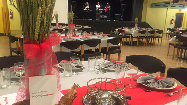 Soirée de Gala PROMOhandicap 2015